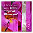 Plugin Scented Oil Refill, Exotic Tropical Blossoms, 0.67 oz, 10/Pack (353730)