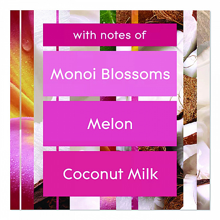 Plugin Scented Oil Refill, Exotic Tropical Blossoms, 0.67 oz, 10/Pack (353730)