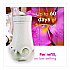 Plugin Scented Oil Refill, Exotic Tropical Blossoms, 0.67 oz, 10/Pack (353730)