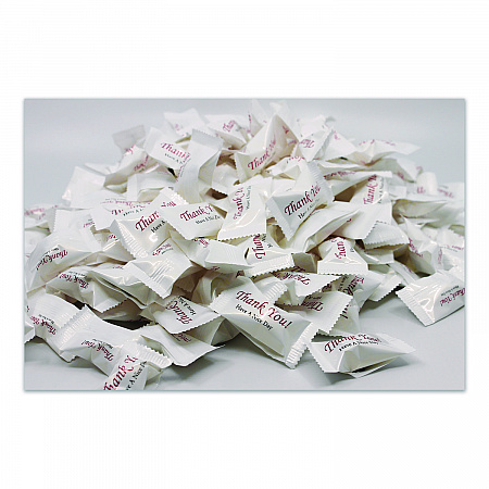 Thank You Have a Nice Day Mints, White Buttermint, Individually Wrapped, 1,000/Carton (CJ3007B)