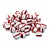 Thank You Have a Nice Day Mints, Peppermint, Individually Wrapped, 1,000/Carton (CJ3007P)