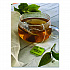 Single Flavor Tea, Green, 28 Bags/Box (00388)