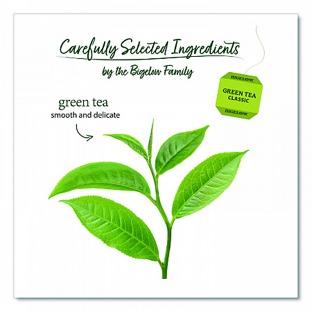 Single Flavor Tea, Green, 28 Bags/Box (00388)