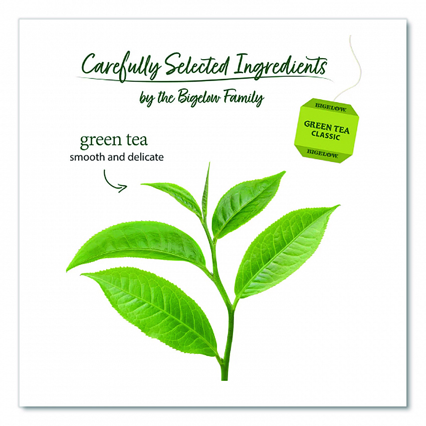 Single Flavor Tea, Green, 28 Bags/Box (00388)