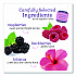 Botanicals Blackberry Raspberry Hibiscus Cold Water Herbal Infusion, 0.7 oz Tea Bag, 18/Box (39000)