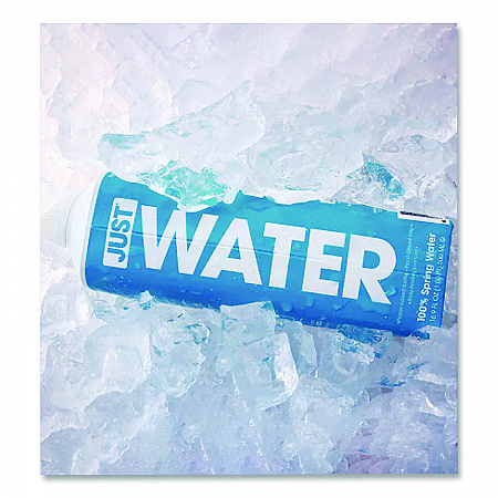 Spring Water, 16.9 oz, 12/Carton (JGD00003)