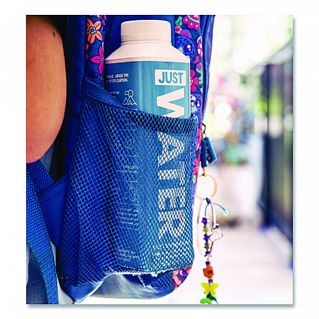 Spring Water, 16.9 oz, 12/Carton (JGD00003)