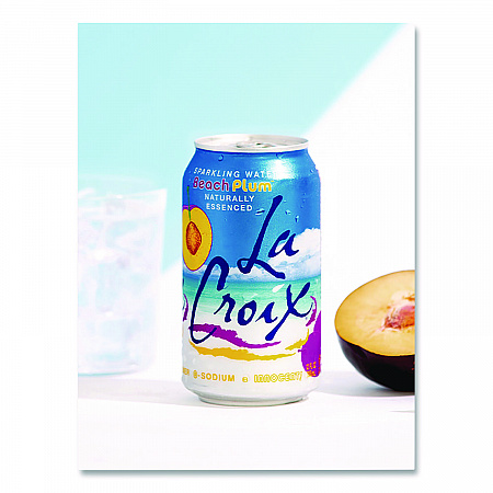 Sparkling Water, Beach Plum, 12 oz Can, 12 Cans/Pack, 2 Packs/Carton (NAV40114)