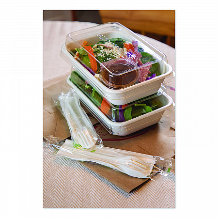 WorldView Vanguard Rectangular Container, 32 oz, 4.71 x 7.01 x 1.04, White, Sugarcane Fiber, 400/Carton (EPSCRC32NFA)
