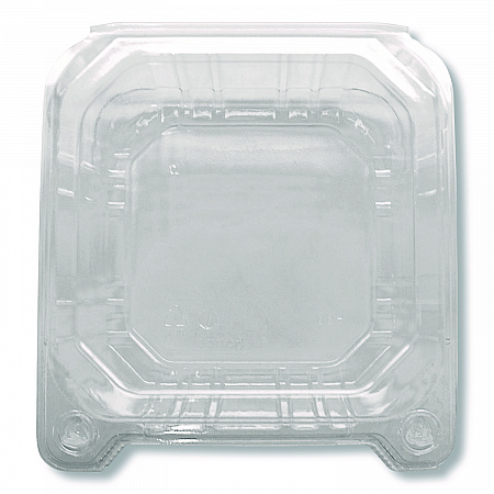 PET Plastic Hinged Container, 6 x 6 x 3.3, Clear, Plastic, 500/Carton (FPHC66PET1C)