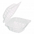 Polypropylene Plastic Hinged Container, 6 x 6 x 3.3, Clear, Plastic, 50/Pack, 6 Packs/Carton (FPHC66PP1C)