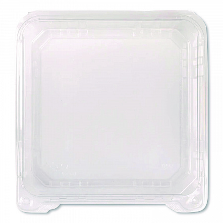 Polypropylene Plastic Hinged Container, 6 x 6 x 3.3, Clear, Plastic, 50/Pack, 6 Packs/Carton (FPHC66PP1C)
