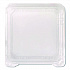 Polypropylene Plastic Hinged Container, 6 x 6 x 3.3, Clear, Plastic, 50/Pack, 6 Packs/Carton (FPHC66PP1C)