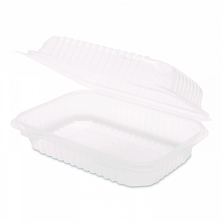 Polypropylene Plastic Hinged Container, 6 x 9 x 2.97, Clear, Plastic, 125/Pack, 2 Packs/Carton (FPHC96PP1C)