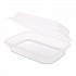 Polypropylene Plastic Hinged Container, 6 x 9 x 2.97, Clear, Plastic, 125/Pack, 2 Packs/Carton (FPHC96PP1C)