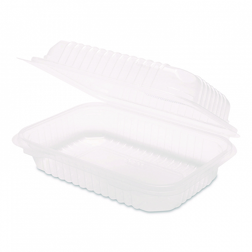 Polypropylene Plastic Hinged Container, 6 x 9 x 2.97, Clear, Plastic, 125/Pack, 2 Packs/Carton (FPHC96PP1C)