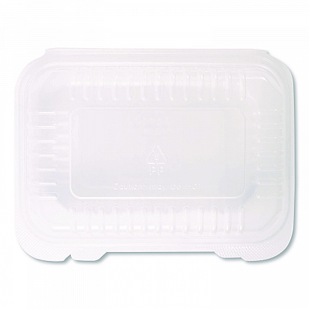Polypropylene Plastic Hinged Container, 6 x 9 x 2.97, Clear, Plastic, 125/Pack, 2 Packs/Carton (FPHC96PP1C)