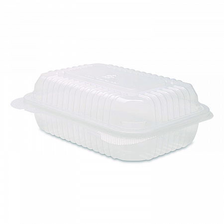 Polypropylene Plastic Hinged Container, 6 x 9 x 2.97, Clear, Plastic, 125/Pack, 2 Packs/Carton (FPHC96PP1C)