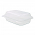 Polypropylene Plastic Hinged Container, 6 x 9 x 2.97, Clear, Plastic, 125/Pack, 2 Packs/Carton (FPHC96PP1C)
