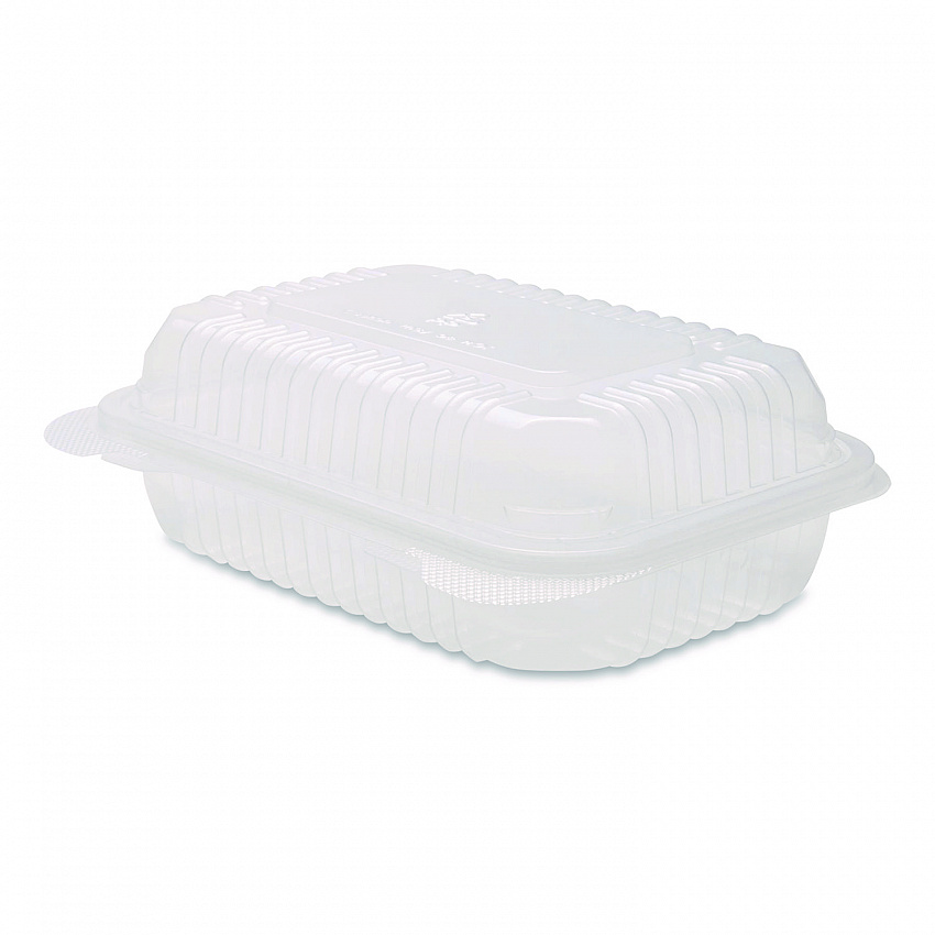 Polypropylene Plastic Hinged Container, 6 x 9 x 2.97, Clear, Plastic, 125/Pack, 2 Packs/Carton (FPHC96PP1C)