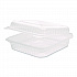Polypropylene Plastic Hinged Container, 9.35 x 9.22 x 3.17, Clear, Plastic, 50/Pack, 4 Packs/Carton (FPHC99PP1C)