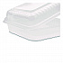 Polypropylene Plastic Hinged Container, 9.35 x 9.22 x 3.17, Clear, Plastic, 50/Pack, 4 Packs/Carton (FPHC99PP1C)