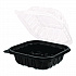 Polypropylene Plastic Hinged Container, 6 x 6 x 3, Black/Clear, Plastic, 50/Pack, 6 Packs/Carton (FPPHC66PP1C)