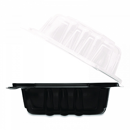 Polypropylene Plastic Hinged Container, 6 x 6 x 3, Black/Clear, Plastic, 50/Pack, 6 Packs/Carton (FPPHC66PP1C)