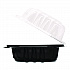 Polypropylene Plastic Hinged Container, 6 x 6 x 3, Black/Clear, Plastic, 50/Pack, 6 Packs/Carton (FPPHC66PP1C)