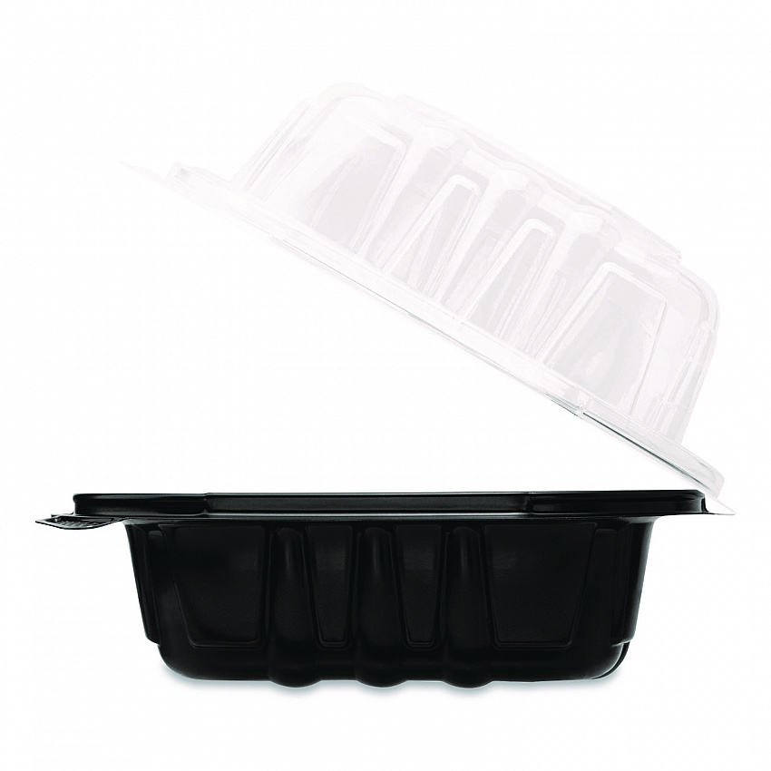 Polypropylene Plastic Hinged Container, 6 x 6 x 3, Black/Clear, Plastic, 50/Pack, 6 Packs/Carton (FPPHC66PP1C)