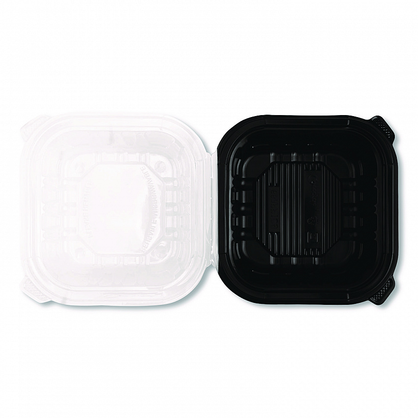 Polypropylene Plastic Hinged Container, 6 x 6 x 3, Black/Clear, Plastic, 50/Pack, 6 Packs/Carton (FPPHC66PP1C)