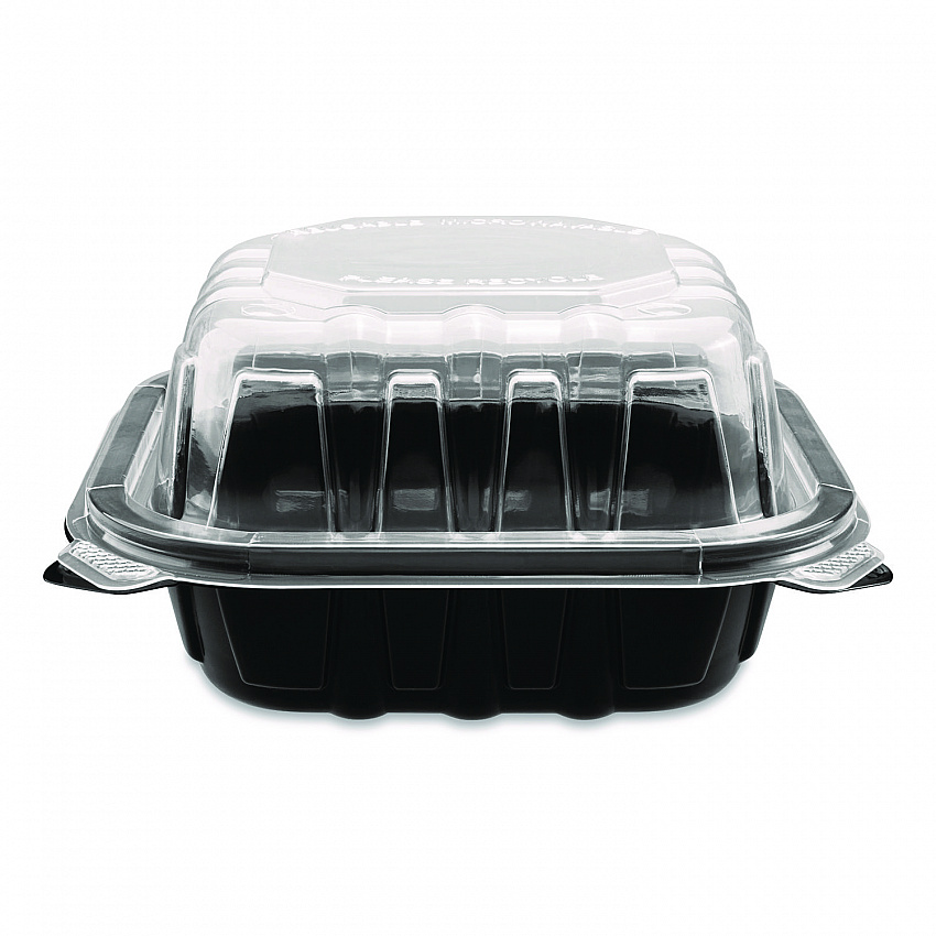 Polypropylene Plastic Hinged Container, 6 x 6 x 3, Black/Clear, Plastic, 50/Pack, 6 Packs/Carton (FPPHC66PP1C)