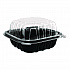 Polypropylene Plastic Hinged Container, 6 x 6 x 3, Black/Clear, Plastic, 50/Pack, 6 Packs/Carton (FPPHC66PP1C)