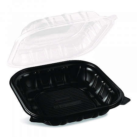 Polypropylene Plastic Hinged Container, 9 x 9 x 3, Black/Clear, Plastic, 50/Pack, 3 Packs/Carton (FPPHC99PP1C)