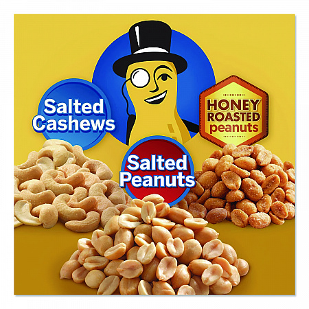 Salted Nuts Variety Pack, Assorted Flavors, 1.5 oz/1.75 oz Packs, 24/Carton (884624)