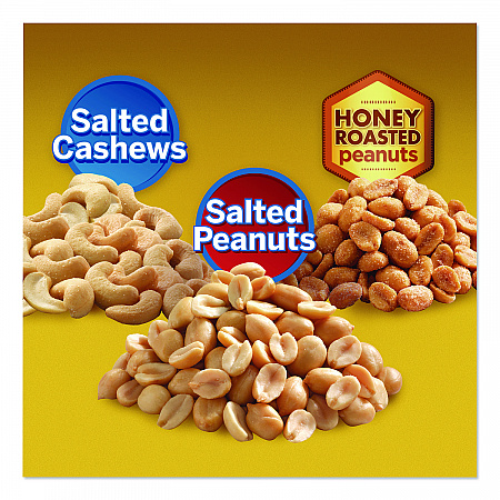 Salted Nuts Variety Pack, Assorted Flavors, 1.5 oz/1.75 oz Packs, 24/Carton (884624)