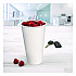 Double Sided Poly (DSP) Paper Cold Cups, 28 oz to 32 oz, White, 40 Cups/Sleeve, 12 Sleeves/Carton (RNP32P2050)