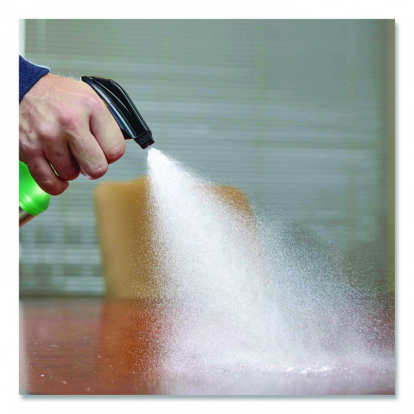 Professional General Purpose Cleaner, 32 oz Spray Bottle, 6/Carton (352264)