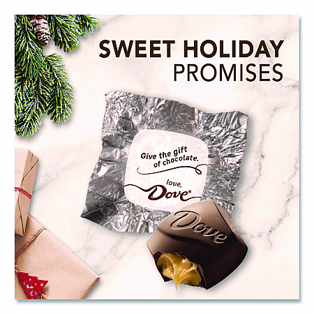 Promises Frosty and Festive Dark Chocolate and Sea Salt Caramel Candy, 7.94 oz Bag (MMM59122)