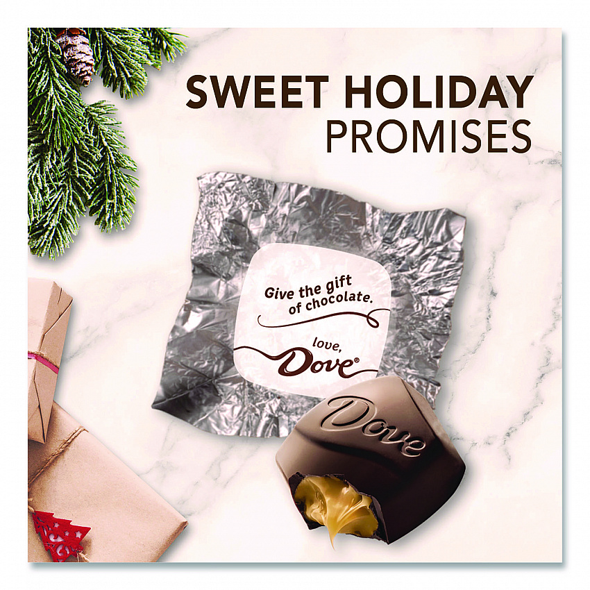 Promises Frosty and Festive Dark Chocolate and Sea Salt Caramel Candy, 7.94 oz Bag (MMM59122)