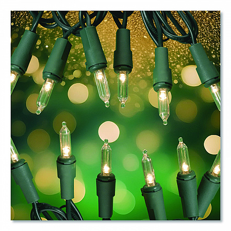 Indoor/Outdoor LED Holiday String Lights, 60 Bulbs/String, 25 ft String, White/Green Wire, 2 Strings (EGPHLGWWL)