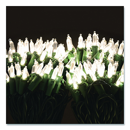 Indoor/Outdoor LED Holiday String Lights, 60 Bulbs/String, 25 ft String, White/Green Wire, 2 Strings (EGPHLGWWL)
