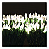 Indoor/Outdoor LED Holiday String Lights, 60 Bulbs/String, 25 ft String, White/Green Wire, 2 Strings (EGPHLGWWL)