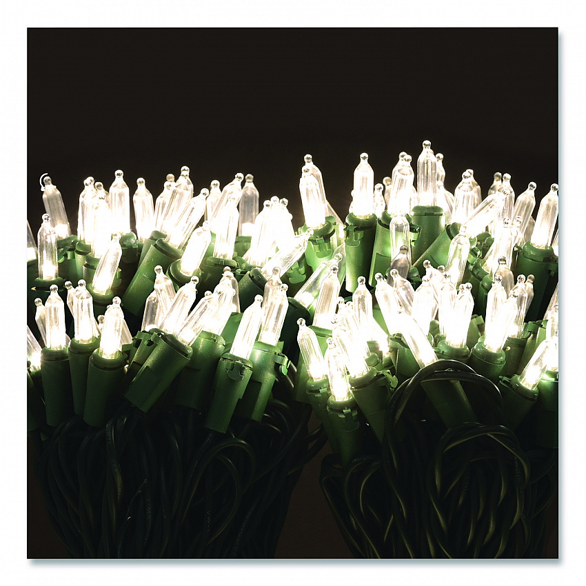 Indoor/Outdoor LED Holiday String Lights, 60 Bulbs/String, 25 ft String, White/Green Wire, 2 Strings (EGPHLGWWL)