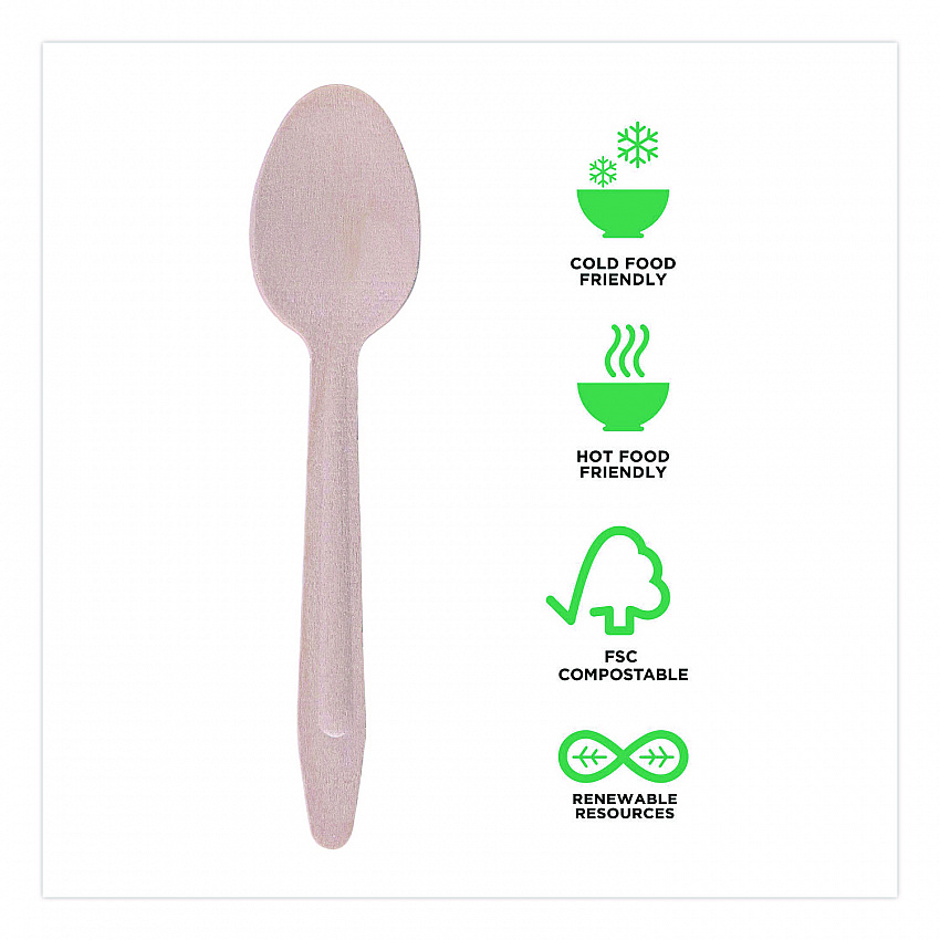 Wood Cutlery, General Purpose Spoon, Natural, 500/Carton (EPS213W)