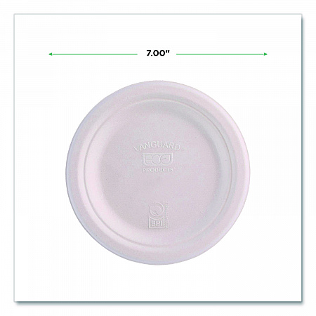 Vanguard Renewable and Compostable Sugarcane Plates, 7
