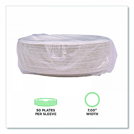 Vanguard Renewable and Compostable Sugarcane Plates, 7
