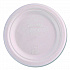 Vanguard Renewable and Compostable Sugarcane Plates, 7