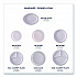 Vanguard Renewable and Compostable Sugarcane Plates, 7