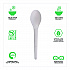 Plantware Compostable Cutlery, Spoon, Plastic, Pearl White, 50/Pack, 20 Pack/Carton (EPS013)